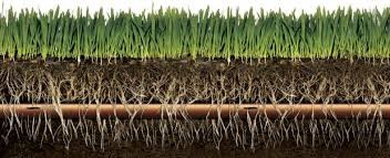 Automatyczny system nawadniania ogrodu - plan rozstawienia zraszaczy