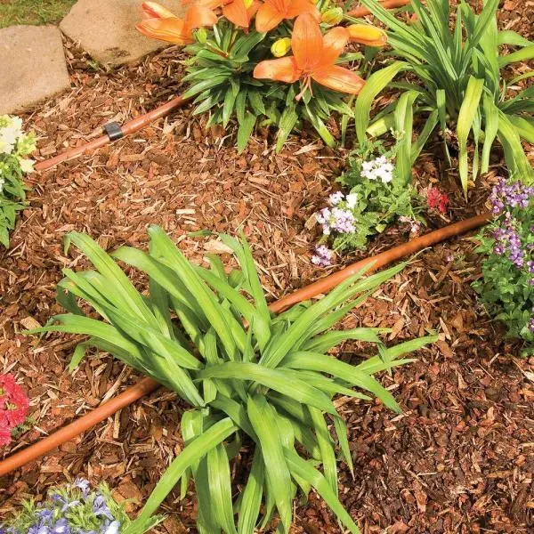 Automatyczny system nawadniania ogrodu - plan rozstawienia zraszaczy