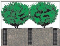 System nawadniania dokorzeniowego RWS-S-BG