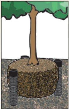 System nawadniania dokorzeniowego RWS-S-BG