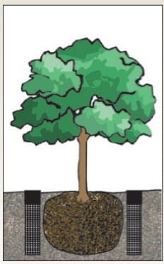 System nawadniania dokorzeniowego RWS-M-BG