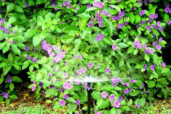 Mikrozraszacz zamgławiacz 180 Idra Spike Teco z regulacją przepływu.jpg