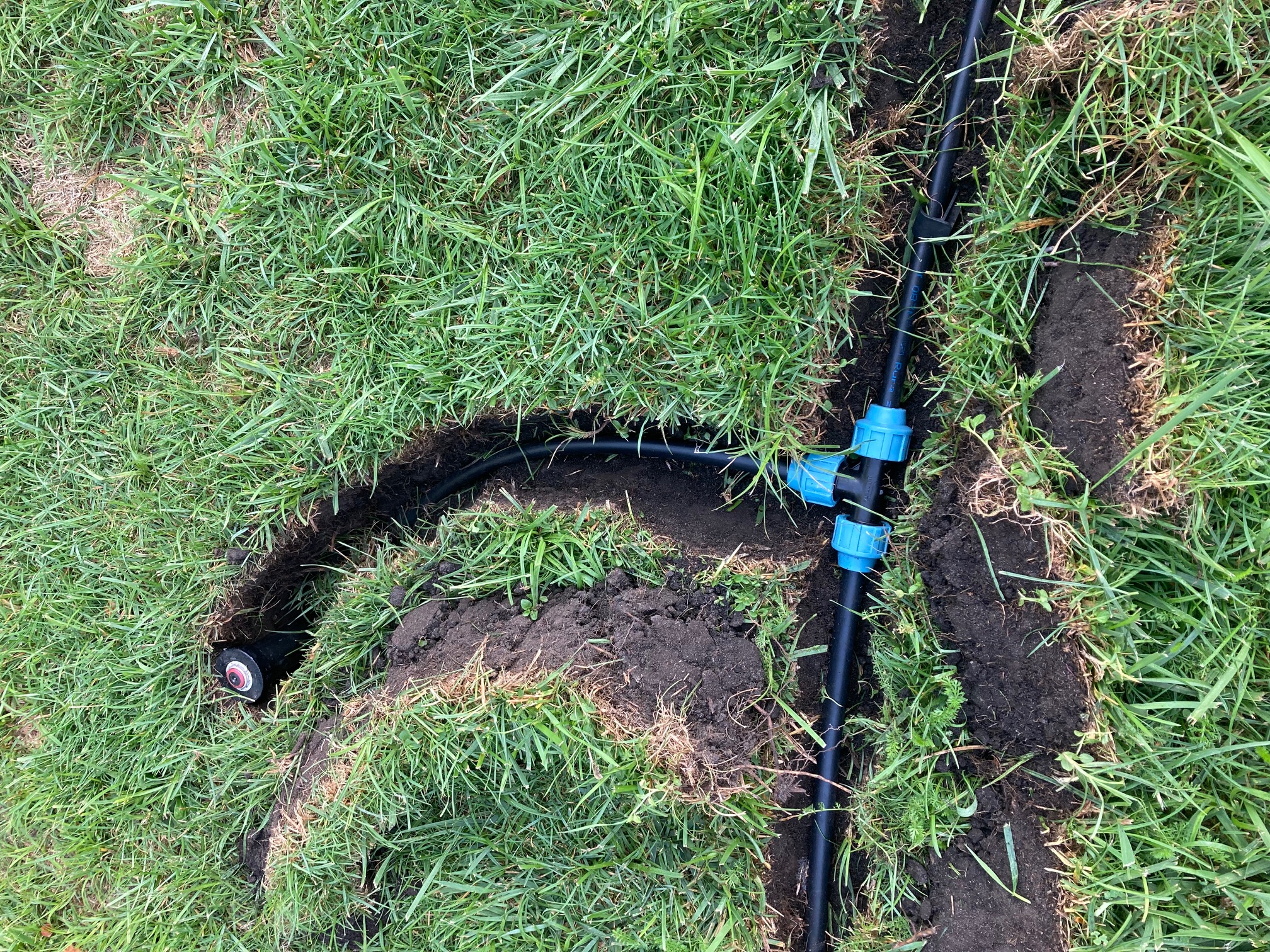 Darń zdjęta łopatą