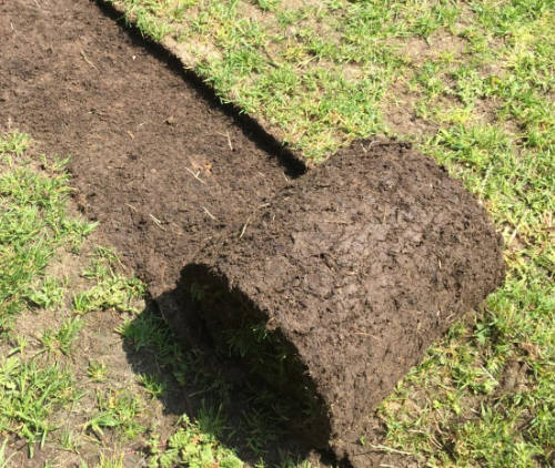 Darń zdjęta przy pomocy maszyny