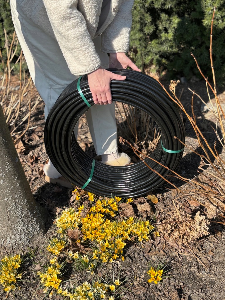 Zastosowanie linii w ogrodzie